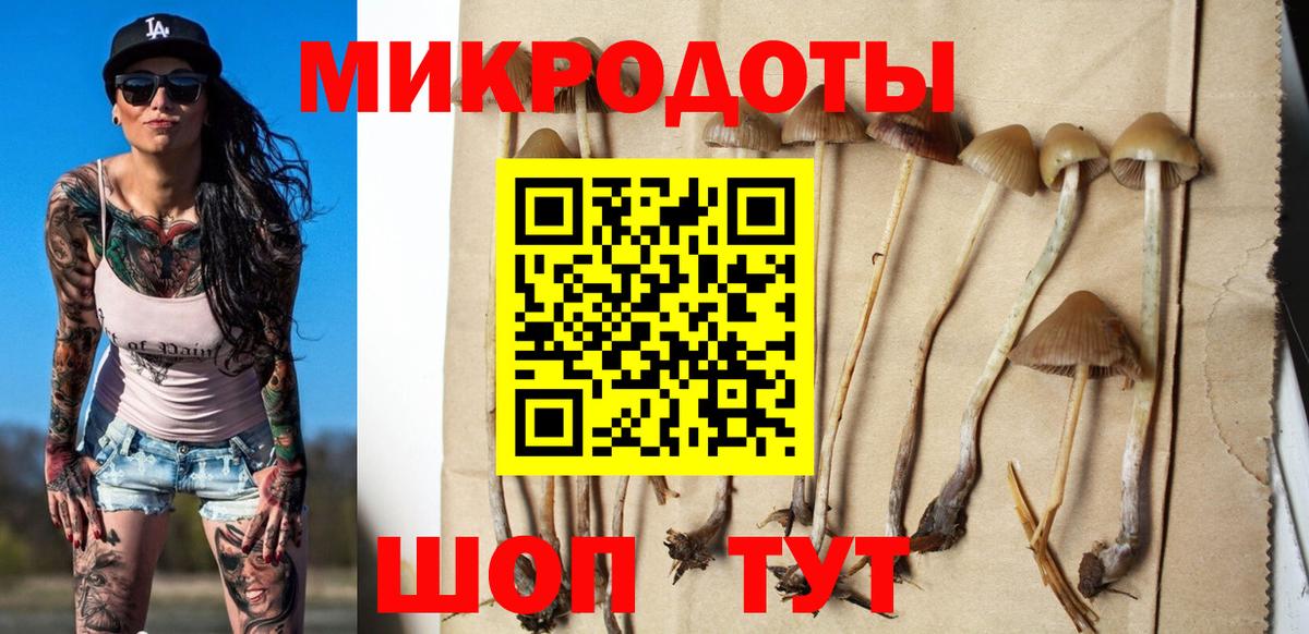 Егорьевск  Псилоцибиновые грибы мухоморы  Вход с VPN 