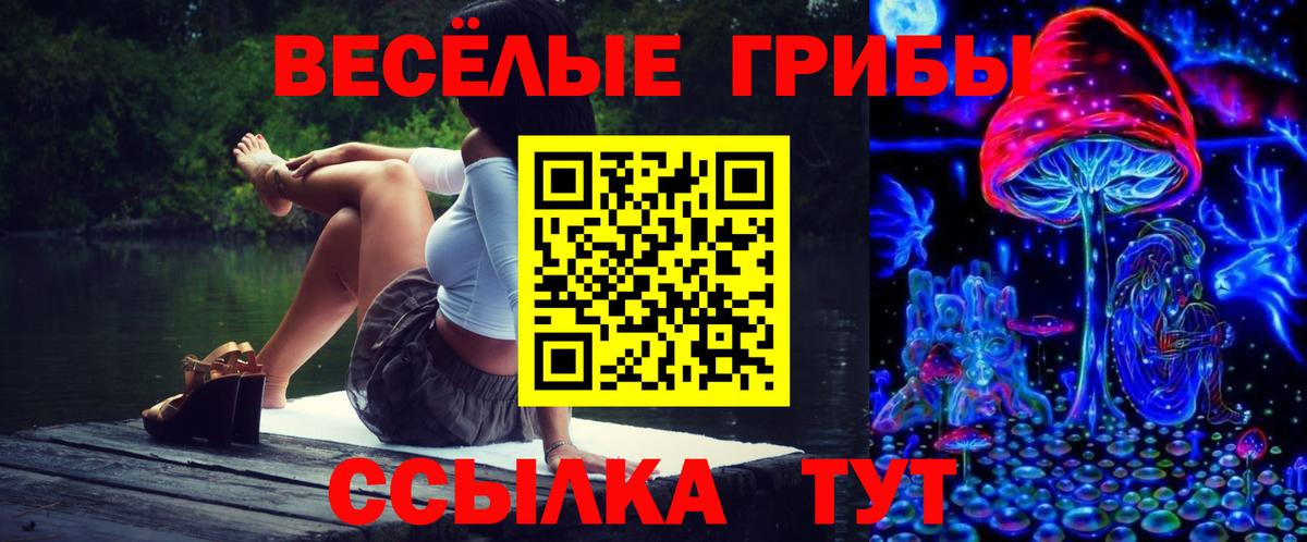 Псилоцибиновые грибы прущие грибы Егорьевск